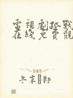 电视剧孤战迷城在线免费观看