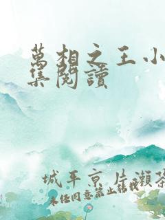 万相之王小说全集阅读