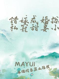 错嫁成婚总裁的私宠甜妻小说