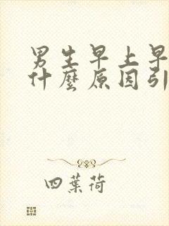 男生早上早勃是什么原因引起的
