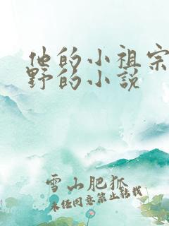 他的小祖宗甜又野的小说
