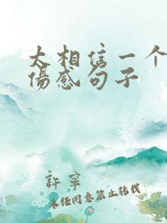 太相信一个人的伤感句子