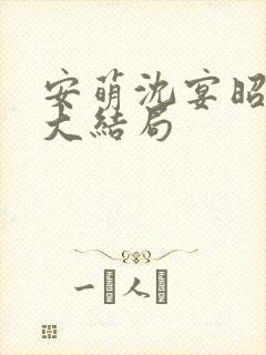 安萌沈宴昭小说大结局