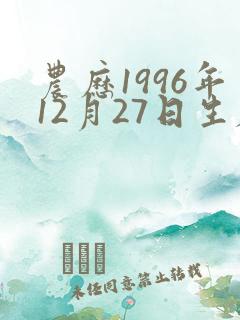 农历1996年12月27日生辰八字