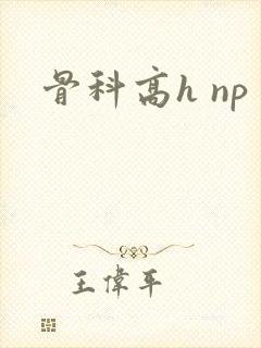 骨科高h np
