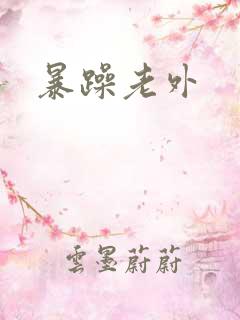 暴躁老外