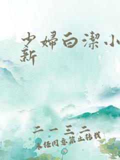 少妇白洁小说最新