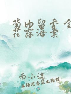 菊内留香 金银花露海棠