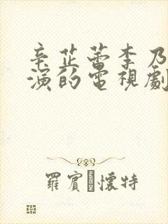 辛芷蕾李乃文主演的电视剧叫什么
