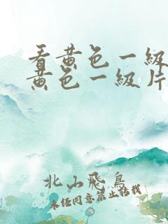 看黄色一级片看黄色一级片