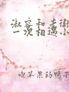 淑容和老卫的第一次相遇小说叫什么