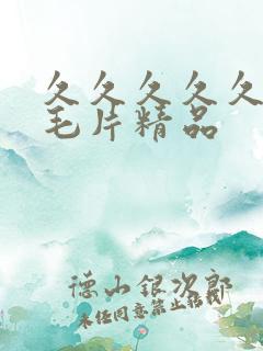 久久久久久久久毛片精品