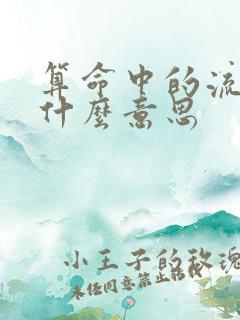 算命中的流年是什么意思