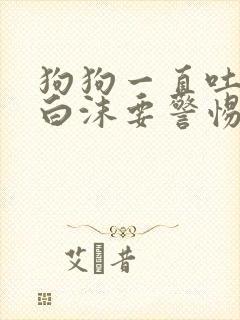 狗狗一直吐水带白沫要警惕
