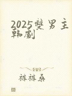 2025双男主韩剧