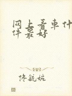 网上看车什么软件最好
