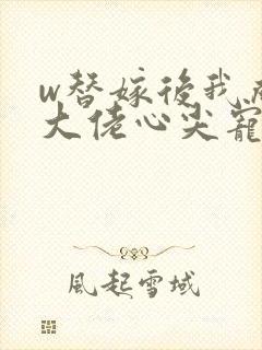 w替嫁后我成了大佬心尖宠》