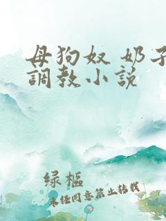 母狗奴 奶子 调教小说