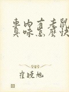 车内有老鼠尿味臭味怎么快速去除