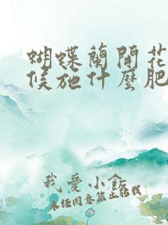 蝴蝶兰开花的时候施什么肥