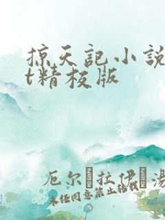 掠天记小说txt精校版