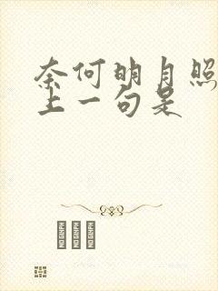 奈何明月照沟渠上一句是