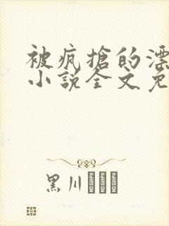 被疯抢的漂亮攻小说全文免费阅读无弹窗