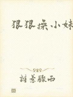 狠狠操小妹妹