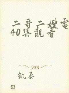二哥二嫂电视剧40集观看