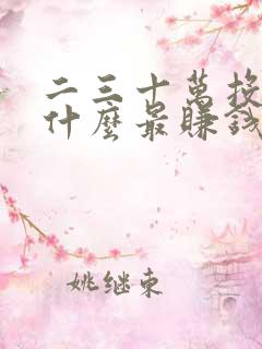 二三十万投资做什么最赚钱