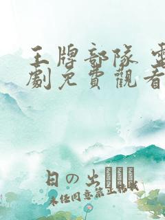 王牌部队 电视剧免费观看