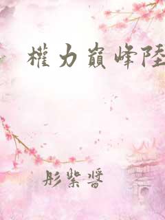 权力巅峰陆皓