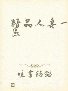 精品人妻一区二区