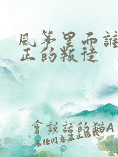 风筝里面谁是真正的叛徒