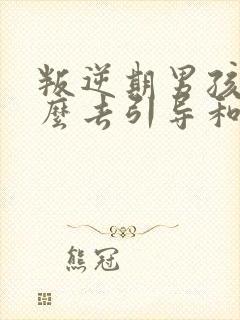 叛逆期男孩子怎么去引导和沟通