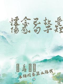 怀念已故爱人的伤感句子短句 怀念已故爱人的伤感句子短句