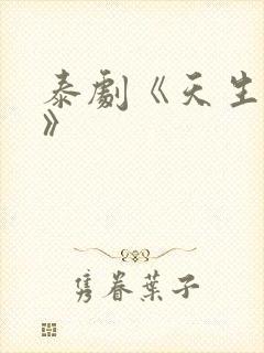 泰剧《天生一对》