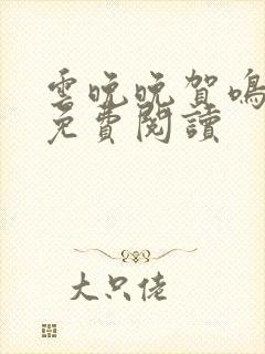云晚晚贺鸣小说免费阅读