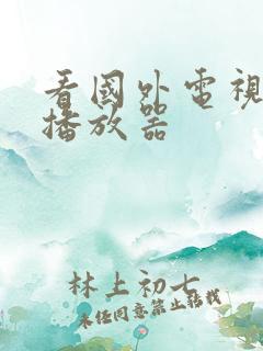 看国外电视剧的播放器