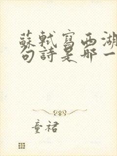 苏轼写西湖的一句诗是哪一句
