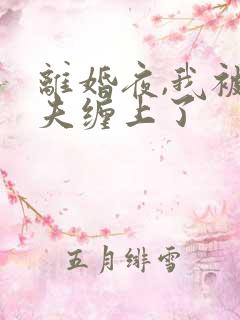 离婚夜,我被前夫缠上了