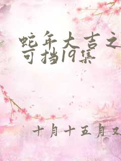 蛇年大吉之婚不可挡19集