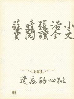 苏晴张浩小说免费阅读全文