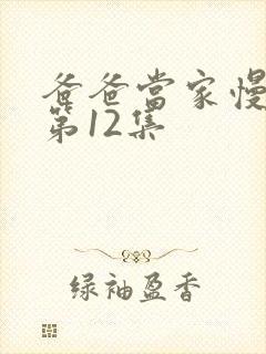 爸爸当家慢享季第12集