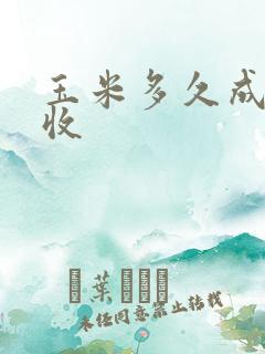 玉米多久成熟采收