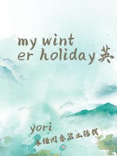 my winter holiday英语作文5句话