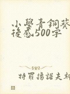小学青铜葵花读后感500字