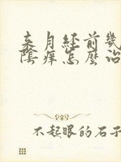 来月经前几日外阴痒怎么治疗