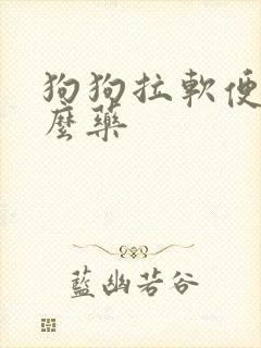 狗狗拉软便吃什么药