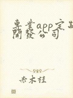 专业app定制开发公司